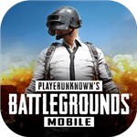 PUBG Mobile国际服_一笑下载站